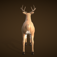 3.png Deer