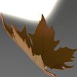 5.jpg plane tree leaf