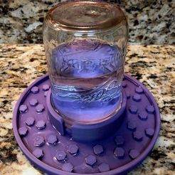 IMG_0239.jpg Free STL file Bee Feeder and Waterer・3D printer design to download