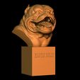 2.jpg Exotic Bully Dog Bust 2