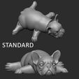 standard.jpg French bulldog lying pose print in place toy