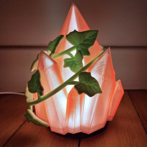 20250216_181407.jpg Kit de lámpara de cristal y hiedra 001