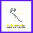 Pully mosular You can adapt to your need! Modular Prosthesis - bird