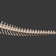 6.jpg Argentinosaurus : Esqueleto completo