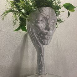 IMG_5137.jpg 3D-Datei EINZIGARTIGE KOPFPFLANZER・Vorlage für 3D-Druck zum herunterladen