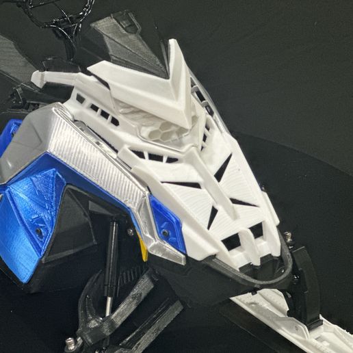 SICZ7574.jpeg SkeeRide 2 Polar