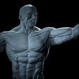 Untitled_Viewport_013.png Anatomia Humana Musculacion - Muscle Anatomy human adapted Print