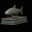 golden-dorado-statue-box-1-28.png fish golden dorado / Salminus brasiliensis with storage space / for 3d printing