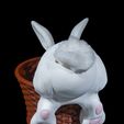 Cottontail-Rabbit-Basket-4.jpg Cottontail Rabbit Basket