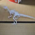 DSC_6452.jpg Velociraptor 3D puzzle, Dino