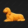 1065-Basset_Griffon_Vendeen_Petit_Pose_08.jpg Basset Griffon Vendeen Petit Dog 3D Print Model Pose 08