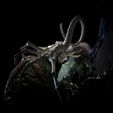 IMG_20260318_120333.jpg Alien