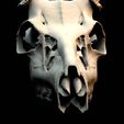 closeupfront.jpg Entire Deer Skull 10 point Buck Antlers Model 2