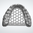 LOW.png Full Arch Dental Study Model with Roots and Alveolar Bone (STL)