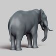 R05.jpg elephant pose 02