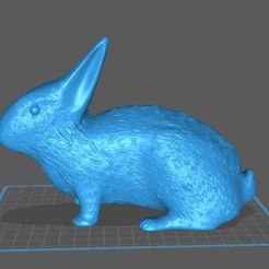 Bunny_pigture.jpg STL-Datei Kaninchen・Modell für 3D-Drucker zum Herunterladen