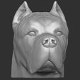 3.jpg Cane Corso dog head for 3D printing