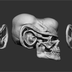 Zek.jpg Fichier STL Crâne de Ferengi・Design à télécharger et à imprimer en 3D, Orion12