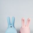 IMG_3711.jpg Troy Rabbit Knitted 🐰✨ (Container + Piggy Bank Version), Easter Design