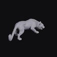 panther_0003.jpg Panther