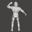 Screenshot-532.png WWE WWF LJN Style AJ Styles Custom Figure