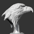 09.png Bald Eagle Head AM07 3D print model