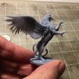 Photo Jan 25, 5 42 35 PM.jpg STL file Griffon Rampant・3D printable model to download