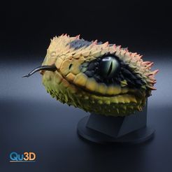 3549762418.jpg 3D-Datei Rauschuppen Buschviper- Atheris-hispida- STL-3D-Druck-Datei - Portrait・3D-druckbares Design zum Herunterladen