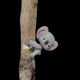 1.jpg koala pin-hug