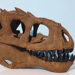 indominus-rex-skull-3d-print-model-1.jpg Jurrasic World Indominus Rex Skull 3d print