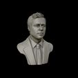 30.jpg Brad Pitt portrait sculpture