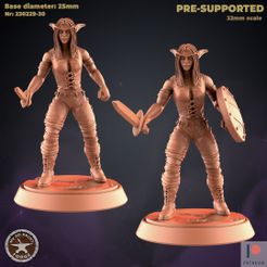 230229-30-NE-Female_rog-war.jpg 3D-Datei Elfenkriegerin und Schurkin ZWEI MODELLE・3D-druckbares Design zum Herunterladen