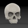 untitled.170.jpg Classic Skull
