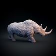 Woolly_rhino_6.jpg Woolly rhinoceros
