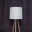 IMG_20200424_144146.jpg Lampe scandinave
