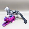337962303_143431492005234_8353415797609909806_n.jpg Flexi Cat, Print-in-Place, Articulated Kitty