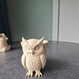 452438ba-5608-452b-9f8d-c10c5f40073e.jpg Cute Owl Planter. With commercial license