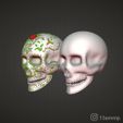 1-3.jpg Calavera Skull