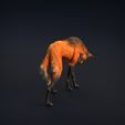 Manned_wolf_3.jpg Манедовый волк