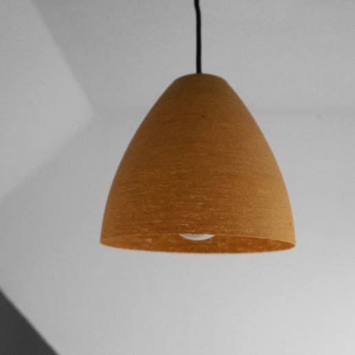 DSC00029.JPG Plafond de l'abat-jour