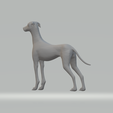 3.png Miles Whippet Neutral Pose Free 3D print model