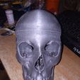 IMG_20190925_223106.jpg HD Anatomical Skull 5 parts