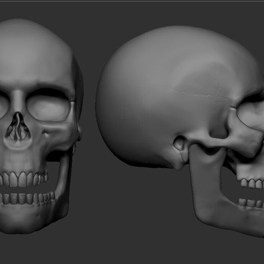 skull