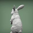 rabbit4.jpg Rabbit 3D print model