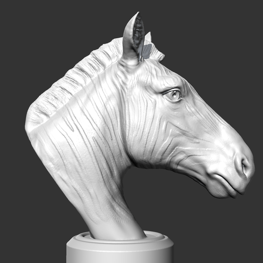 【3日間限定30%OFF／3Dアート】ZEBRAHUHN 3D Zebra Model by animatownstudio | 3DOcean