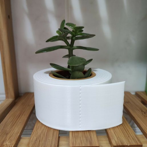 Toilet Paper  Ikea Cactus Pot - 3D model önizlemesi