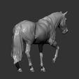 horse-3d-model-4bea23668a.jpg Horse 3D print model