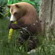 0_00060.png Bear DOWNLOAD Bear 3d model - animated for blender-fbx-unity-maya-unreal-c4d-3ds max - 3D printing Bear Bear
