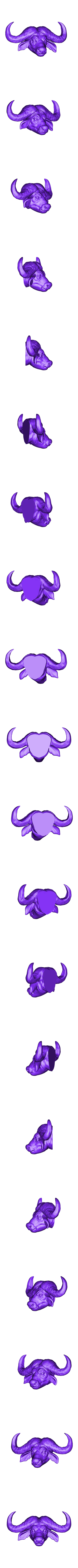 Buffalo_Head.stl Animal Head