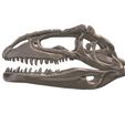 03.jpg Giganotosaurus skull in 3D
